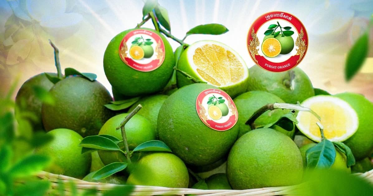 «ក្រូចពោធិ៍សាត់» ត្រូវបានចុះបញ្ជីជា «ម៉ាកសមូហភាព» ជាផ្លូវការដើម្បីពង្រឹងអត្តសញ្ញាណ និងទីផ្សារផលិតផល ខ្មែរ